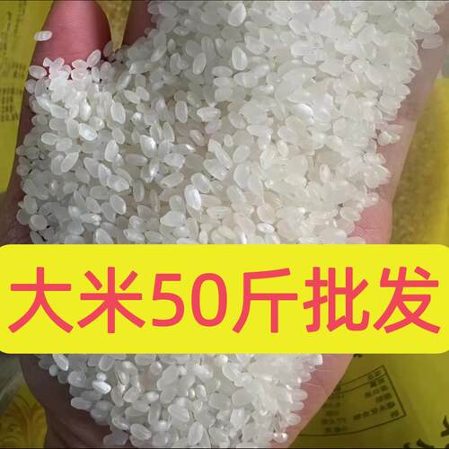 大米50斤装米食堂用便宜东北大米50斤一袋大袋新米散珍珠米
