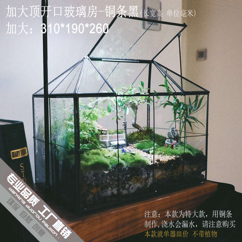 房子顶摆件礼客厅家居装饰咖啡北欧工艺开口花房罩玻璃简约几何