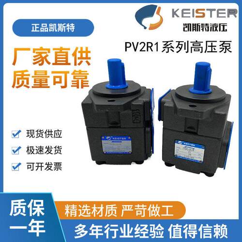 浙江凯斯特KEISTER叶片泵 PV2R1-10/12/14/17/19/23/25/28/-31FR