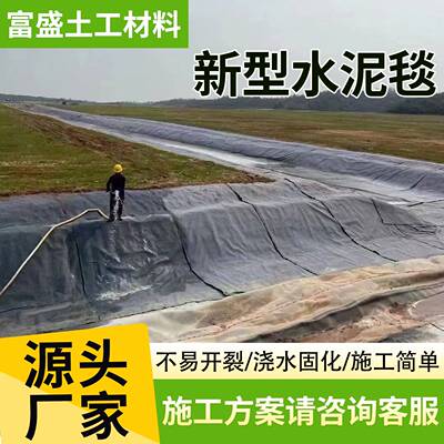 新型水泥毯浇水固化鱼塘护坡沟渠铺路固土毯河道改造加厚水泥毯子