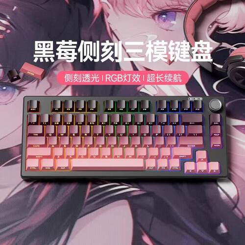 迈从Ace68磁轴机械键盘小型机械手感有线键盘静音笔记本外接三模