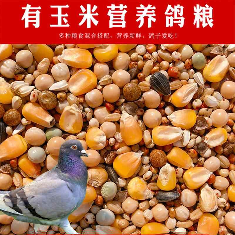鸽子粮有玉米鸽粮食营养饲料鸟食信鸽观赏鸽肉鸽幼鸽成鸽粮