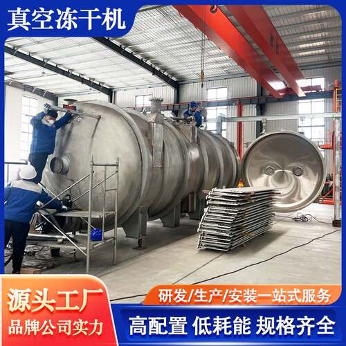 肉松海苔真空冻干机 姜茶粉低温FD冻干 发酵黑蒜真空冷冻干燥机