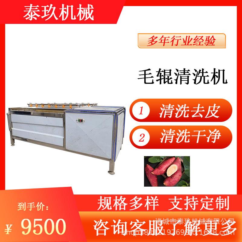 川贝母毛辊清洗机地瓜去皮机莲藕刷洗机玉米去须清洗设备