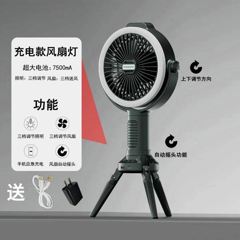 跨境新款LED摇头风扇灯360度摇头迷你卧室书房卫生间风扇灯60W