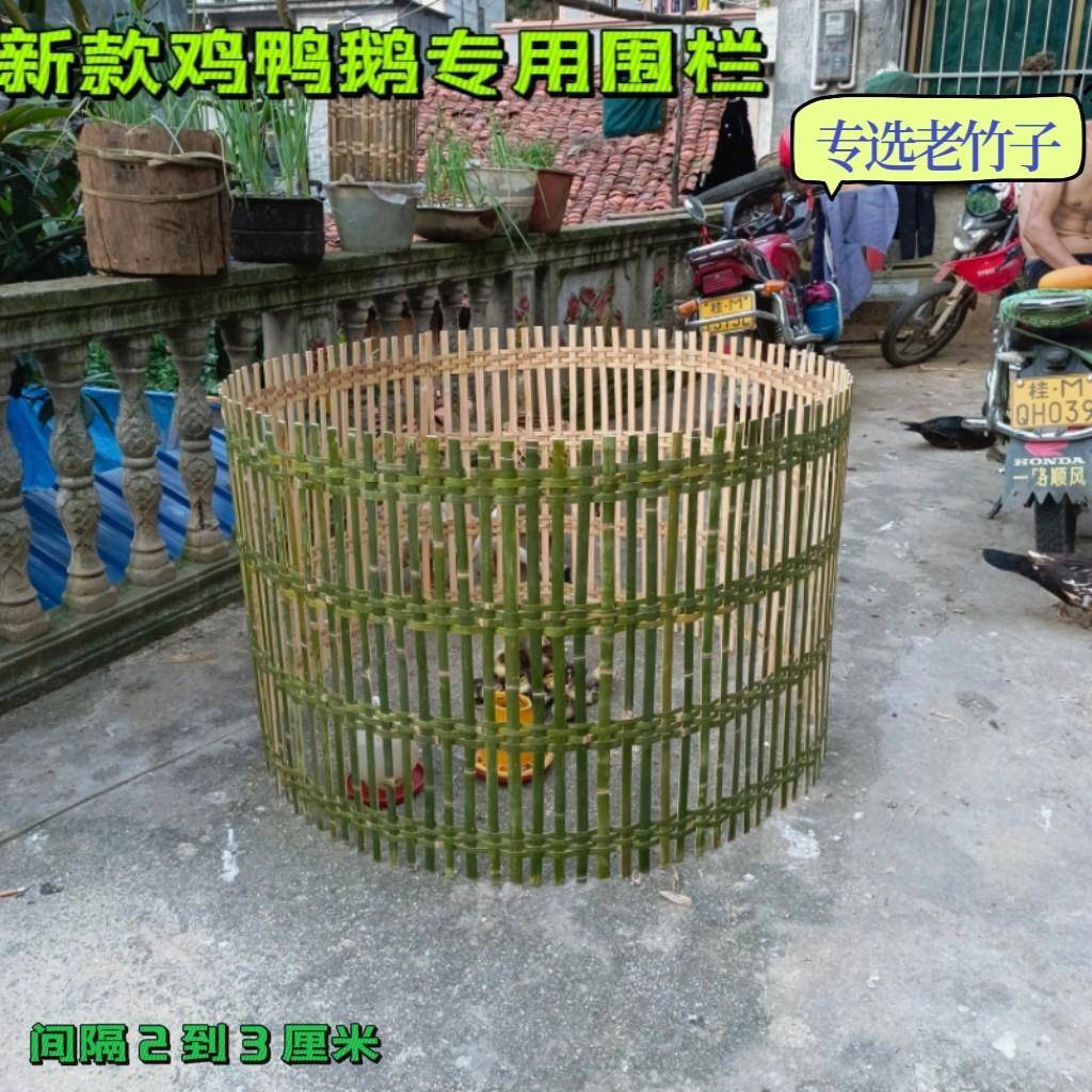 竹编鸡围栏围网围挡围墙篱笆竹编围鸡鸭围栏竹围栏鸡围栏耐用