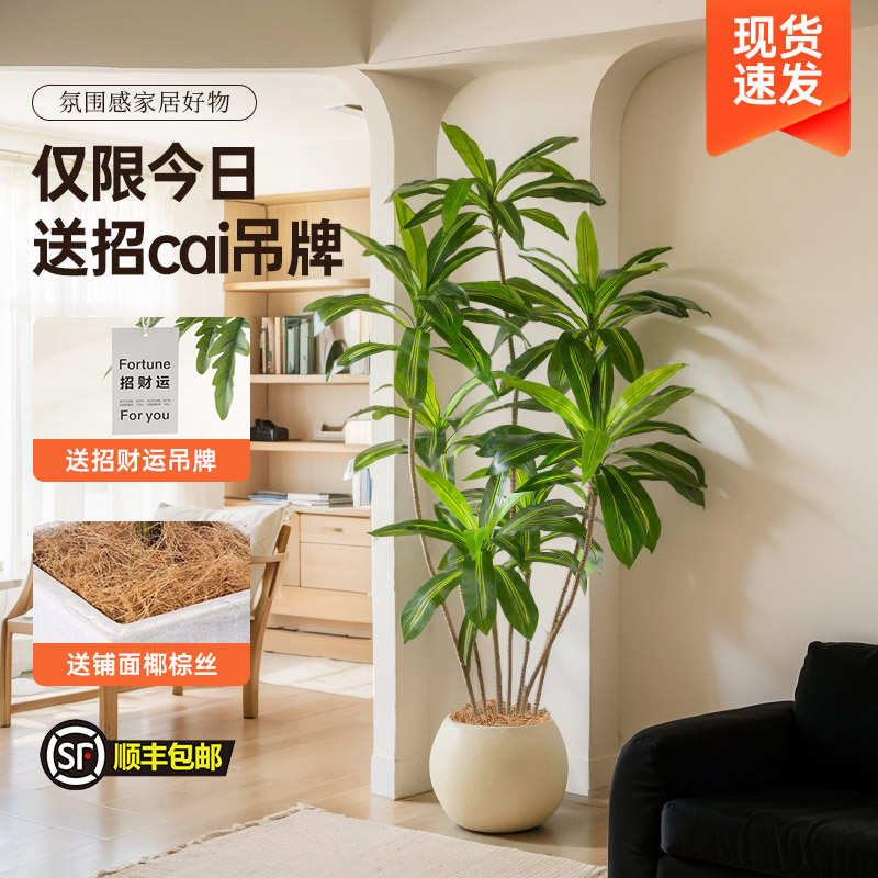 仿真绿植高端轻奢巴西木室内客厅装饰落地摆件仿生假植物盆栽造景