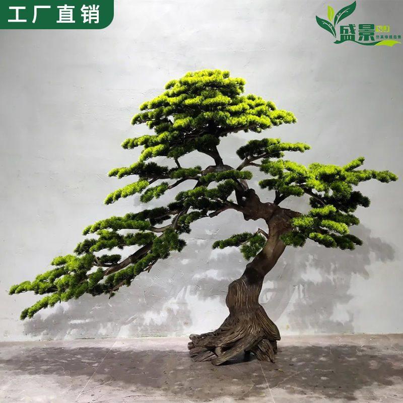 新中式彷真迎客松室内造景观装饰大型罗汉松假树饭厅玄关角落摆件
