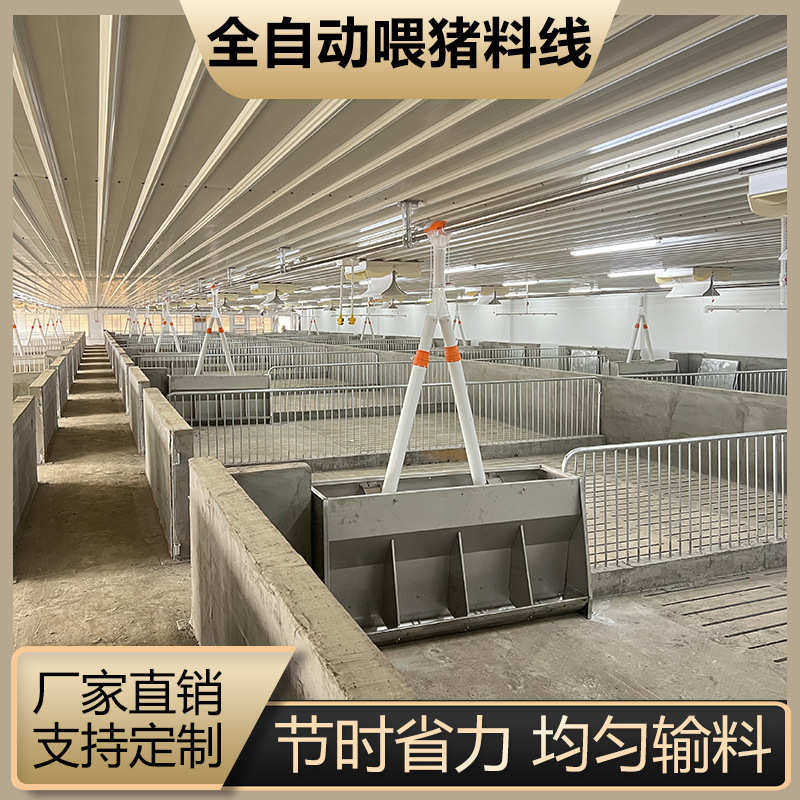 全自动喂料线养猪料塔料线绞龙塞盘镀锌料塔料线养殖场饲料储料塔,机械设备,农业机械/园林设备/畜牧设备,淘宝优惠券,粉丝福利购,淘宝优惠卷