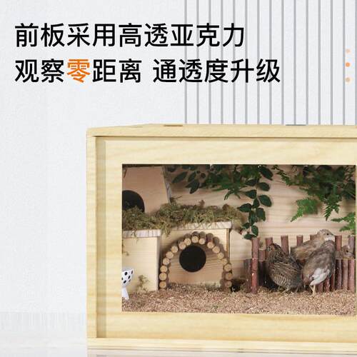 芦丁鸡饲养箱鸡窝造景别墅笼子木屋宠物养殖育雏套餐卢丁鸡房子大