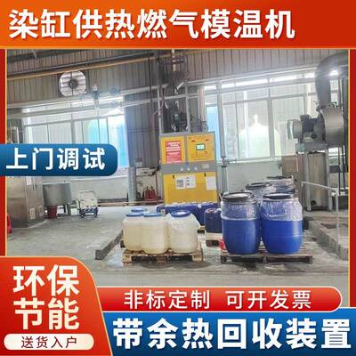染缸供热燃气式热载模温机 化工行业燃气导热油炉