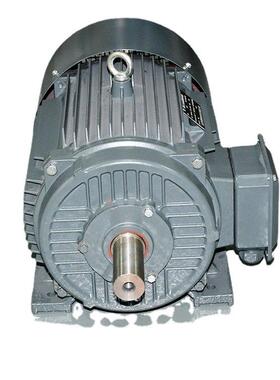 高效大功率稀土永磁同步电机220W315KW 变频 调速K电动机机械设备