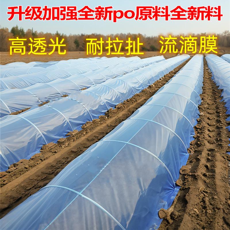大棚内二膜小拱棚蓝色透明专用膜农用塑料薄膜防寒防冻保温流滴膜