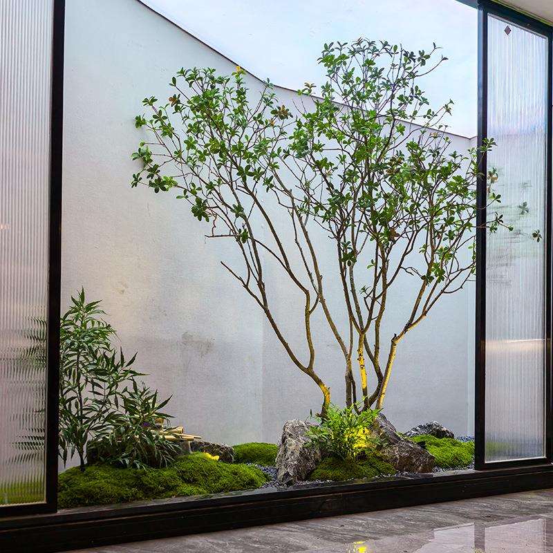 高端仿真马醉木橱窗造景植物室内榕树绿植装饰树大型假树简约景观