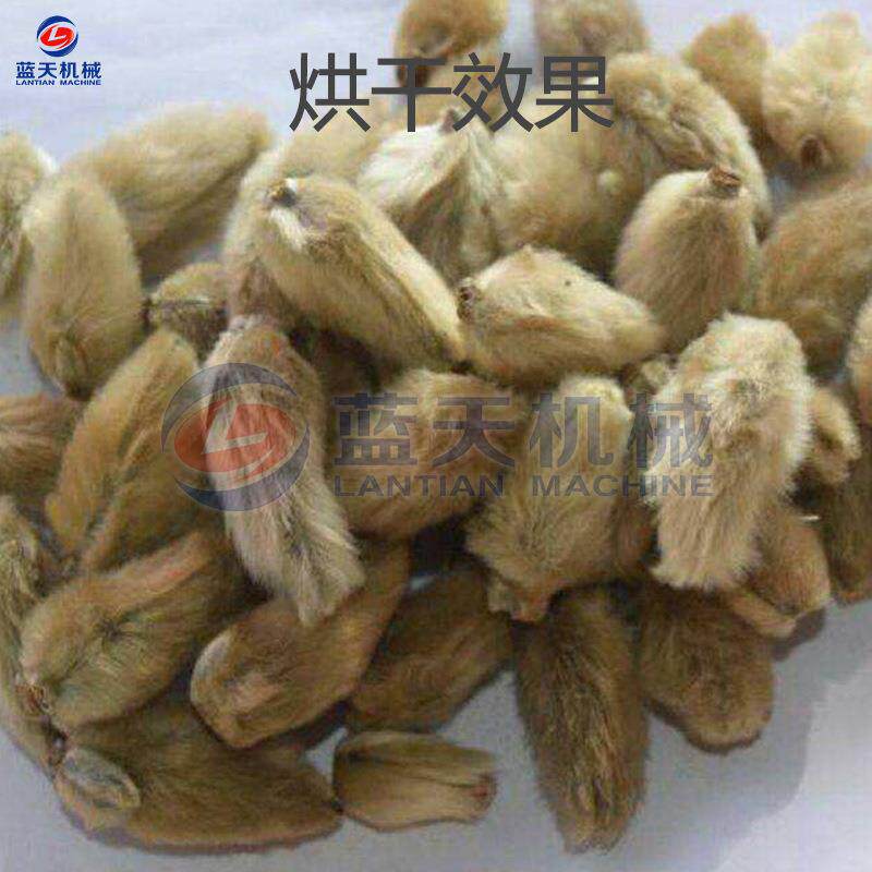 辛夷花烘干机 大型‌侯桃木兰毛桃花香料烘干房 辛夷花茶烘干设备