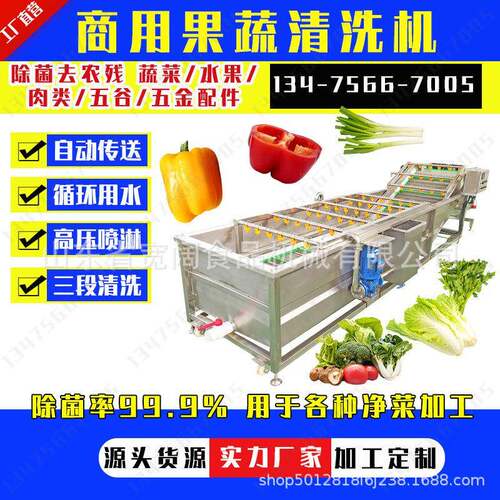 全自动商用蔬菜清洗机高压喷淋式辣椒清洗机秋葵银耳气泡清洗机