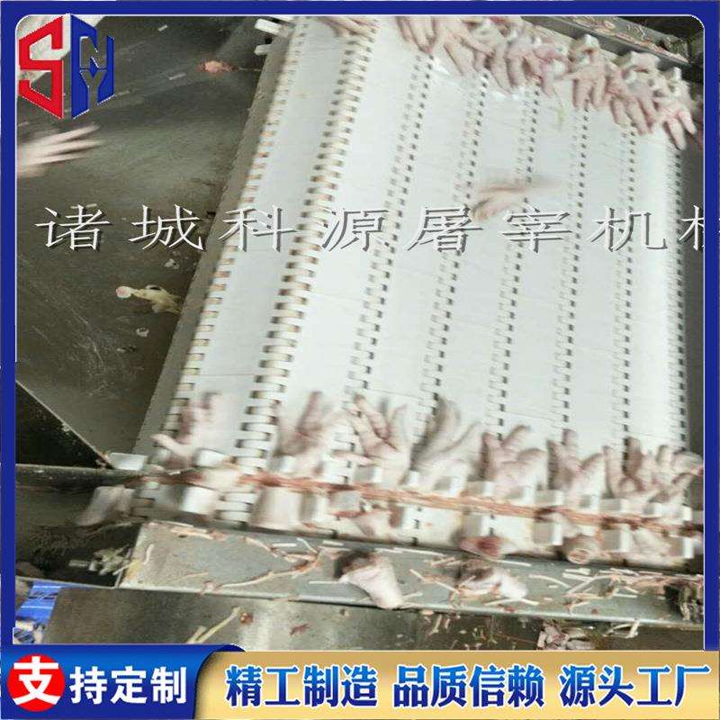 大型凤爪切爪机鸡爪拐骨切割机实体厂家加工网带式割爪机可试机
