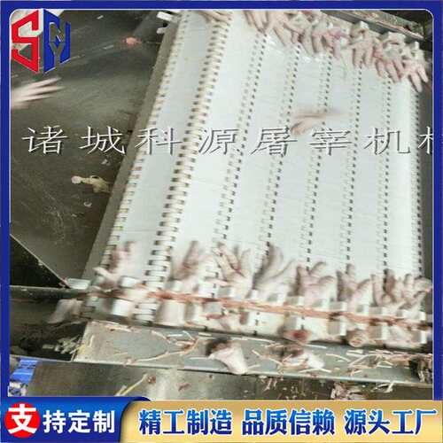 大型凤爪切爪机鸡爪拐骨切割机实体厂家加工网带式割爪机可试机