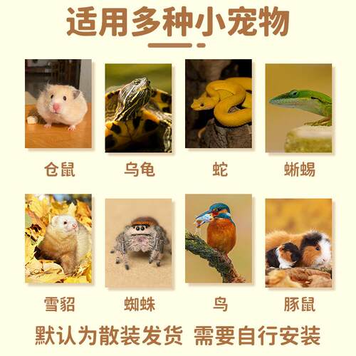 PVC爬宠箱鬃狮蜥蜴饲养箱陆龟守宫刺猬爬虫保温箱智能温控芦丁鸡