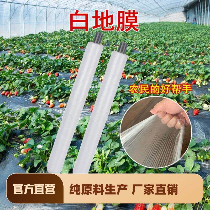 农用白色地膜保温保湿蔬菜大棚种植防草地膜耐拉扯塑料小拱棚薄膜