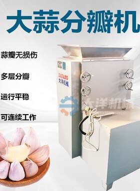 全自动大蒜分瓣机仿手工大蒜扒瓣设备无伤款蒜头分瓣机大蒜破瓣机