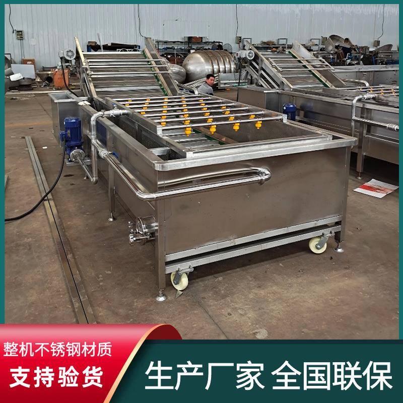 商用全自动火龙果清洗机白菜切瓣清洗设备蔓越莓加工气泡清洗机