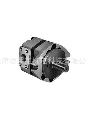 Toyooki 丰兴 齿轮泵 TCP5-L100-MR1-A
