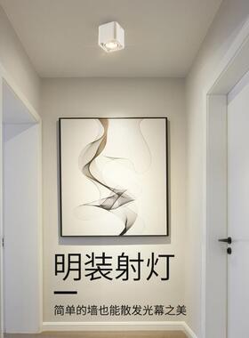 MKN明装射灯led吸顶家COB防眩天l用e方形d双头射灯豆胆灯客厅花