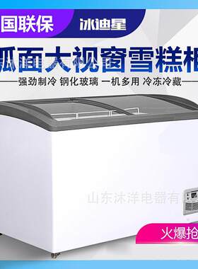 饮圆弧玻璃门雪糕柜冷柜冰柜柜式冷Rw-005藏冷冻展示料卧展示岛柜