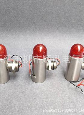 报警器DX-200 不锈钢声光警报灯 G3/4NPT 探头GBS-24VM20*1.5