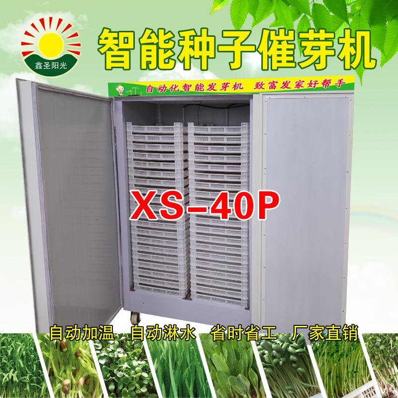 芽苗菜发芽机 种子催芽机 商用智能化芽苗机 豌豆苗 萝卜苗发芽机