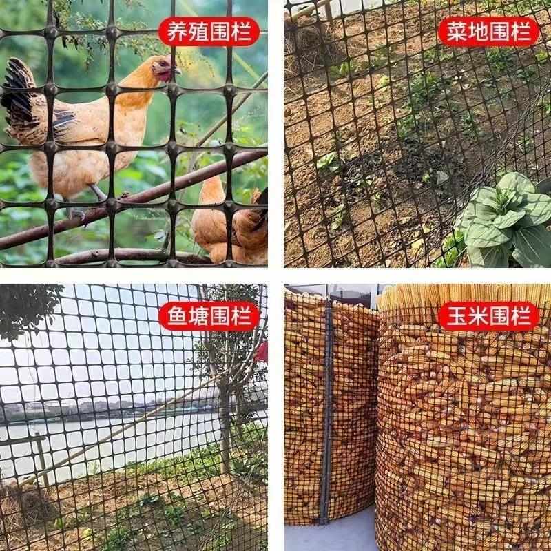 塑料網(wǎng)格防養(yǎng)殖園柵欄博尚智戶外攔護(hù)雞網(wǎng)子圈菜玉米膠室外養(yǎng)雞網(wǎng)