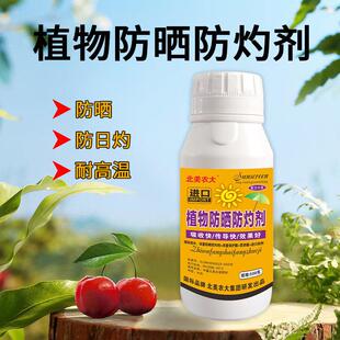 植物防晒剂抗强光防日灼牴抗气灼蔬菜果树防高温保护剂叶面肥防裂