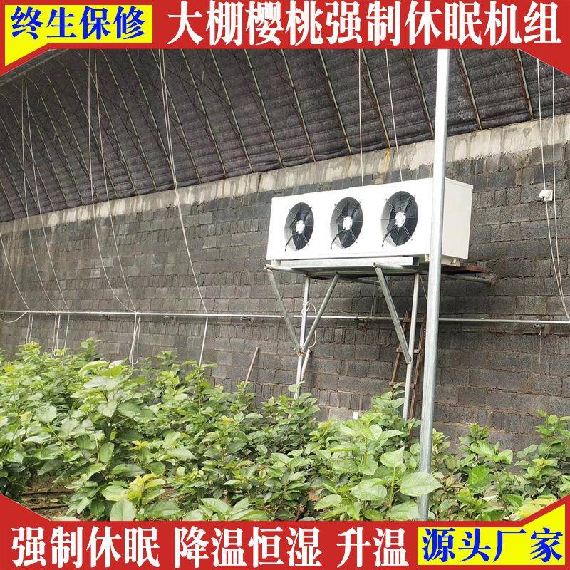 恩特莱大棚樱桃休眠机除湿加热8匹12匹樱桃大棚制冷设备品控机组