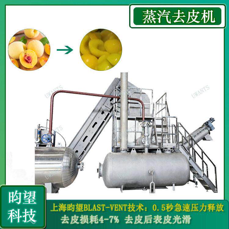 上海昀望大型工业猕猴桃汁加工清洗去皮生产线 黄桃去皮机