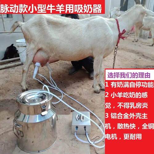 吸羊奶器真空脉动挤羊奶机小型家用牛羊吸奶器挤牛奶器电动吸乳器