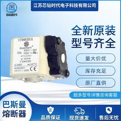 170M3537 170M3538 170M3539巴斯曼BUSSMANN快速熔断器保险丝