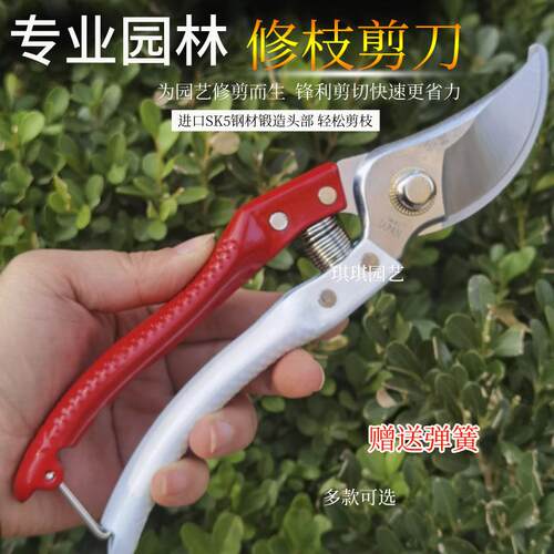 仙鹤V7修枝剪台湾园林剪刀铁原装果树剪园林修枝剪刀搞枝剪高空剪