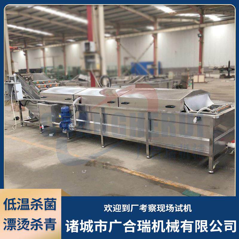 丸子成型蒸煮冷却 酸菜软装巴氏机菌流水线 蔬包BS-3000菜杀漂烫