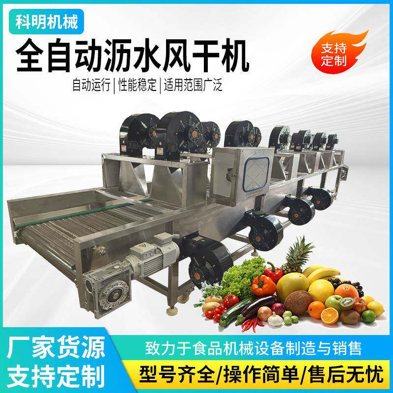 连续式果蔬沥水风干机袋装食品豆干风干机大枣红枣清洗风干设备