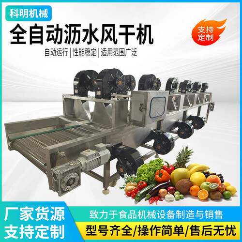 连续式果蔬沥水风干机袋装食品豆干风干机大枣红枣清洗风干设备