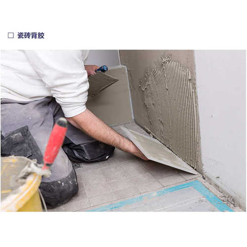 背聚合物阿科建筑用粘接5136encor  玛苯丙磁砖 水性乳液超强胶