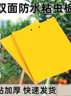 Strong Adhesive Yellow Board for Pest Control, Effective Aga