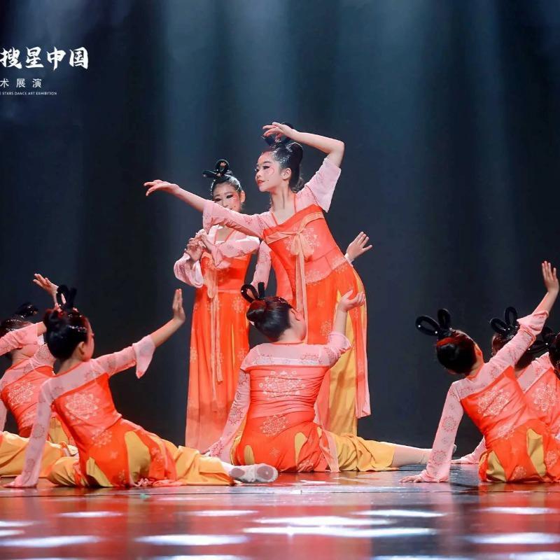 梦回醉九州儿童舞衣古典舞演出服飘逸身韵纱衣练功服齐胸襦裙女