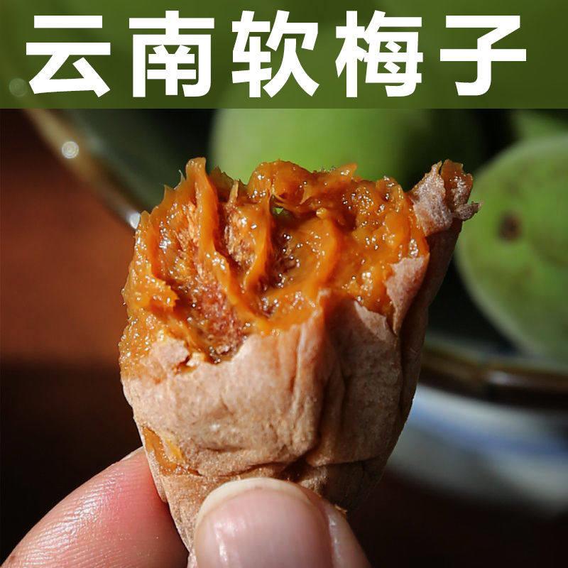 云南特产软话梅巨酸甜无核软籽梅子果干蜜饯开胃孕妇网红休闲零食