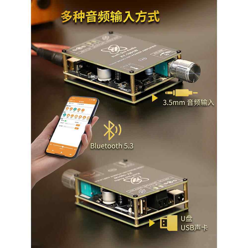 XY-1001W 单声道100W蓝牙音频功放板模块TWS对箱真无线TPA3116