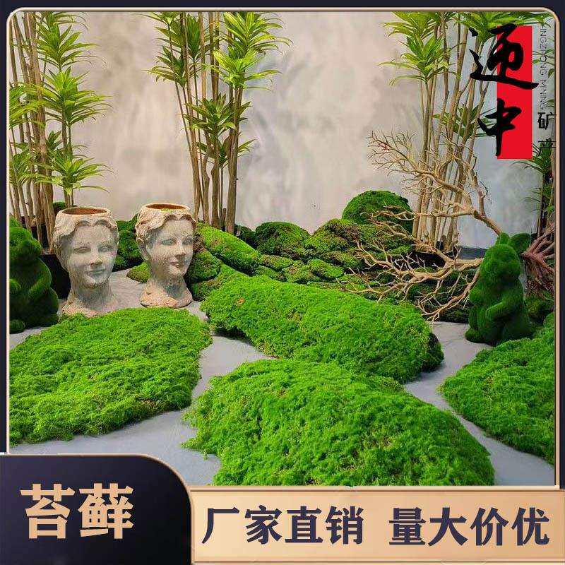 高端仿真绿植苔藓草皮植毛绿色草坪造景花园室内庭院青苔橱窗