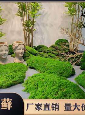 高端仿真绿植苔藓草皮植毛绿色草坪造景花园室内庭院青苔橱窗