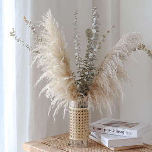 僮烨蒲扇芦苇藤编透明玻璃花瓶组合蒲扇芦苇民宿店铺软装客厅装饰