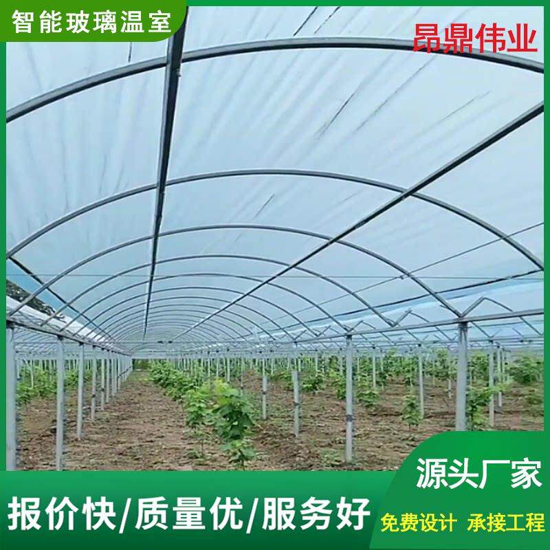 连栋大棚蔬菜大棚养殖大棚西瓜育苗种植温室棚椭圆管塑料温室棚